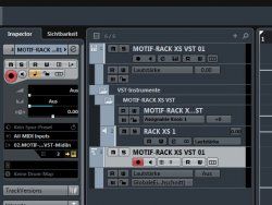 Instrumentenspur oder Out&MIDI-getrennt.jpg