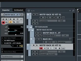 Instrumentenspur oder Out&MIDI-getrennt.webp