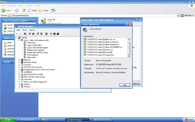 Geräte-Manager USB-Audiogerät.webp