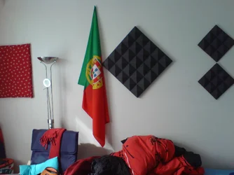 DSC01200.webp