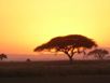 AfricaSmall.jpg