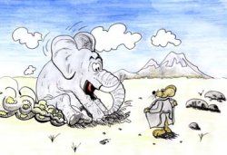 elefant_maus.jpg