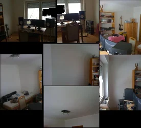 collage.webp