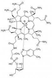 270px-Cobalamin.jpg