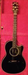 Gibson Chet Atkins steel.jpg