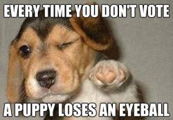 puppyvote.jpg