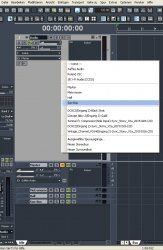 Sonar Routing Nachher.jpg