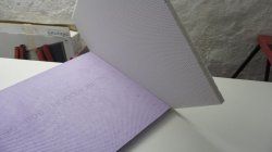 DSC02270.jpg