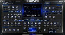 Nightlife New.jpg