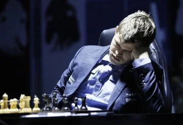 magnus-sleeping-560x384.webp