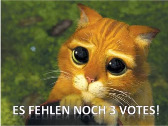 votes.webp