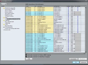 midi einst.webp