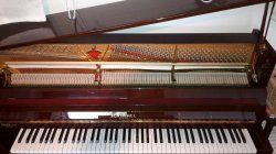 20161006_152511sm.jpg