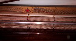20161006_152758sm.jpg