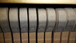 20161006_152331sm.jpg