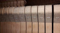 20161006_152533sm.jpg