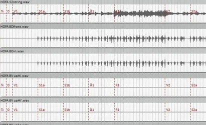 wavmarker.webp