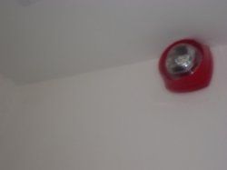 DSCF5171.jpg