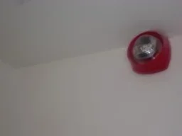 DSCF5171.webp