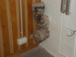 DSCF5175.jpg