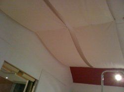 IMG_0282.jpg