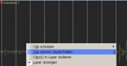 Clip stummschalten.jpg