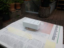 IMG_20170818_081040.jpg