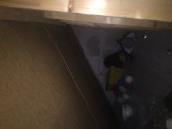 IMG_4275.JPG