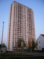 21253310.jpg