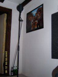 SL271842.jpg