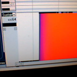 Snapshot of me 7.png