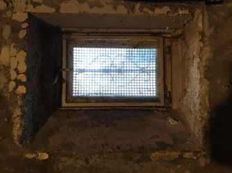 Fenster.webp