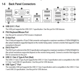 backpanel.webp