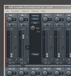 Bass _In.JPG