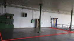 Foto1.jpg