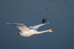 20170215-P1090615.jpg