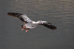 20150405-P1010456.jpg