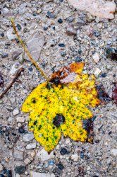 DSC_0030.jpg