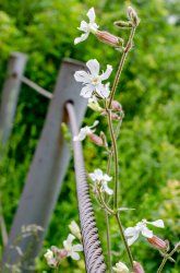 DSC_8094.jpg