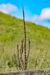 DSC_8164.jpg