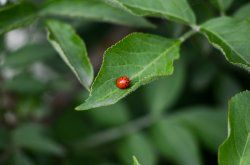 DSC_7283.jpg