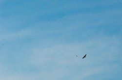 DSC_7317.jpg
