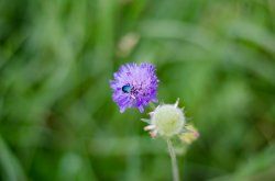 DSC_8618.jpg