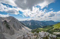DSC_0028.jpg
