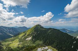 DSC_0031.jpg