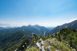 DSC_0046.jpg