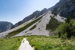 DSC_0118.jpg