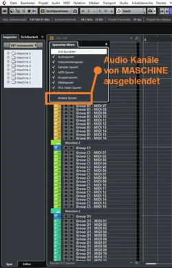 Audio Kanäle im Projekt ausgeblendet.webp