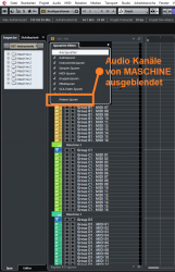 Audio Kanäle im Projekt ausgeblendet.png