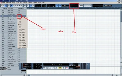 LE4Drum.webp